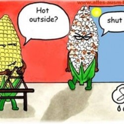 Heat+wave+-+corn1