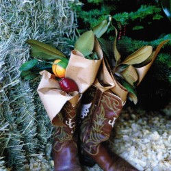 Texas+boots+at+Christmas1