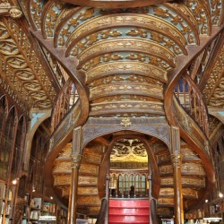 lello11