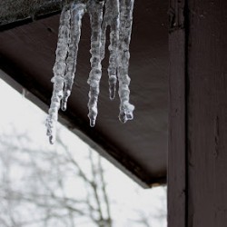 Icy Cold! Icicle