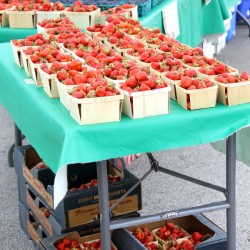 Libertyville+Farmers+Market+strawberries+2+close+up1
