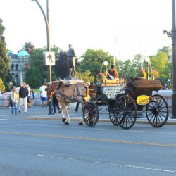 Victoria+horse+and+buggy1