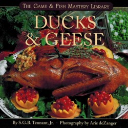 Ducks++++Geese1