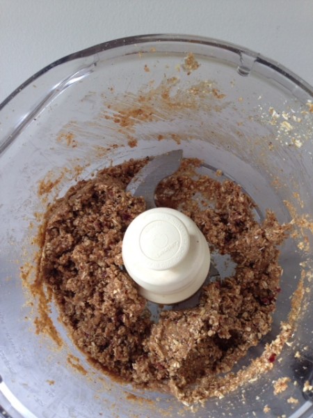 Power Ball dough in food processor 2