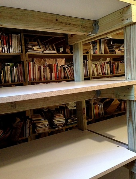 Basement 3rd shelf with books behind