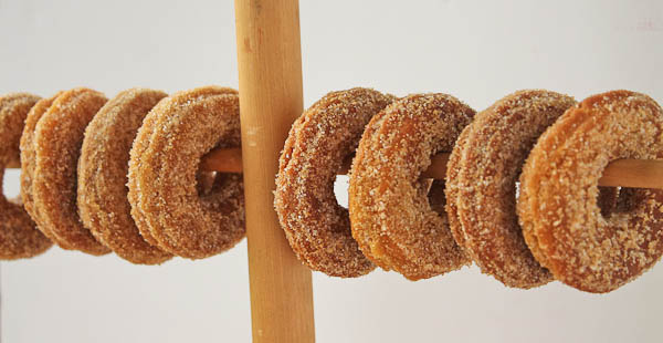Pumpkin Donuts on stand 2 rows