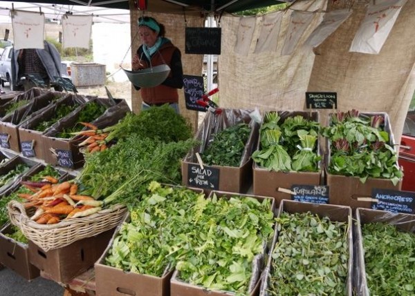 Point Reyes farmer's market