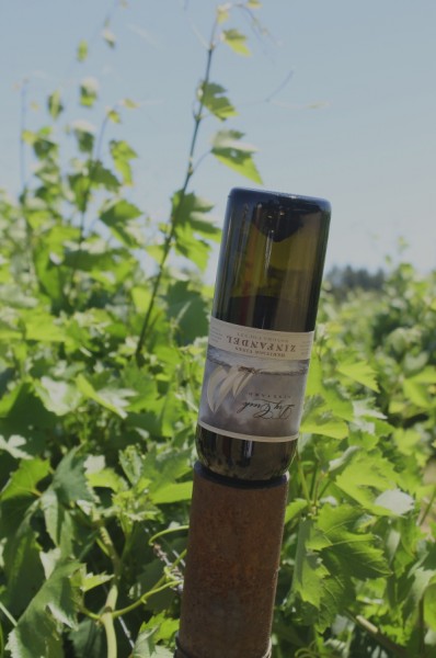 Dry Creek upside down bottle in vineyard