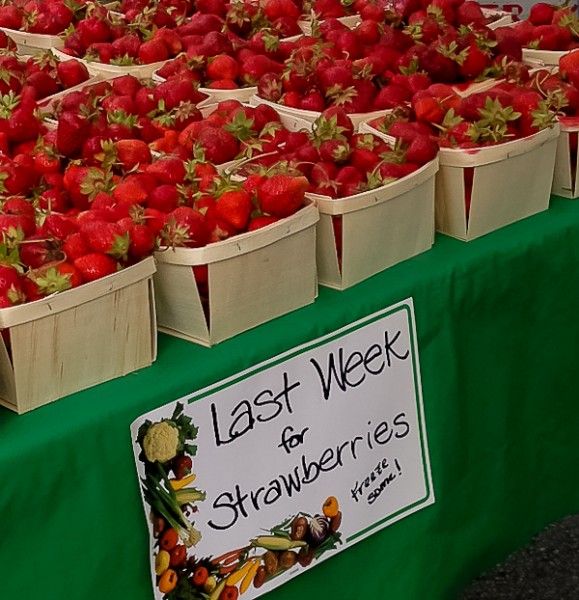 Lib FM strawberries last week