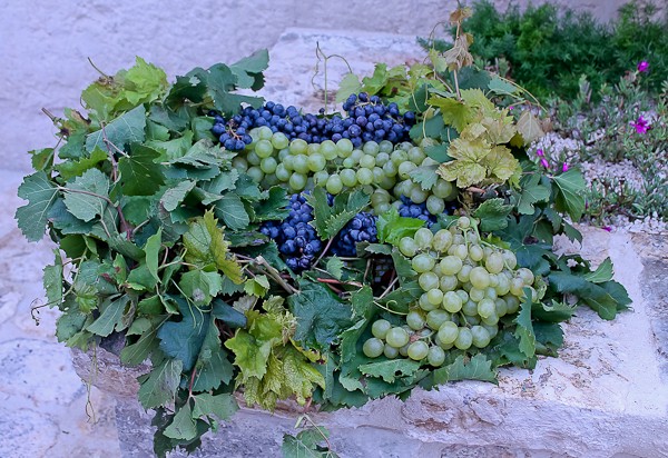 Altemura grape decoration