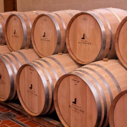 Altemura group wine barrels