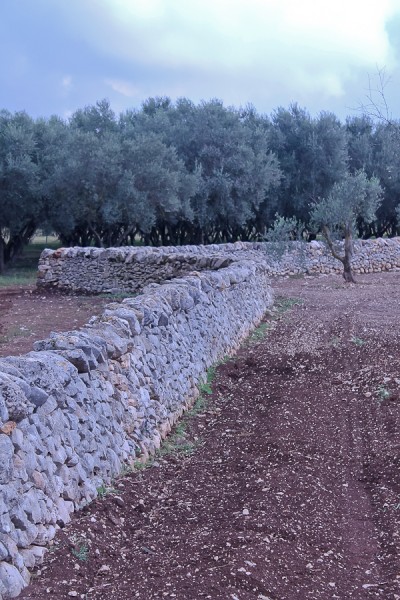 Altemura stone wall