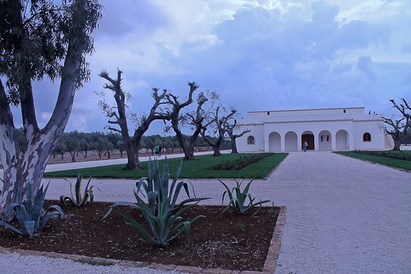 Altemura winery