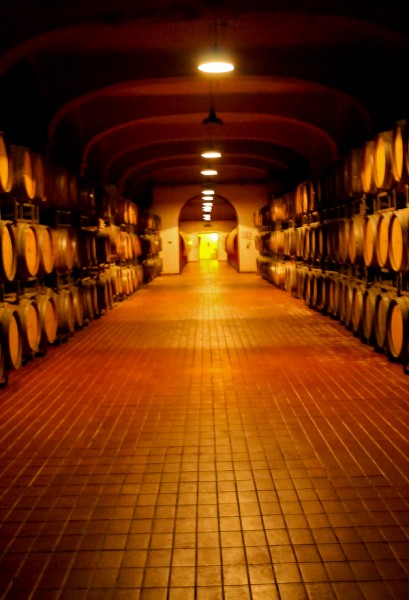 Butera wine barrels long view