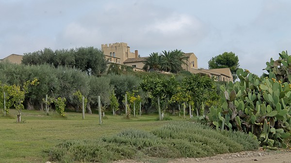 Butera winery from afar