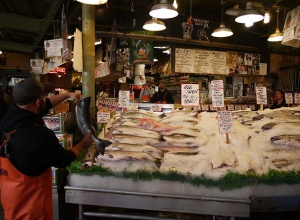 Seattle-fish+market+toss1