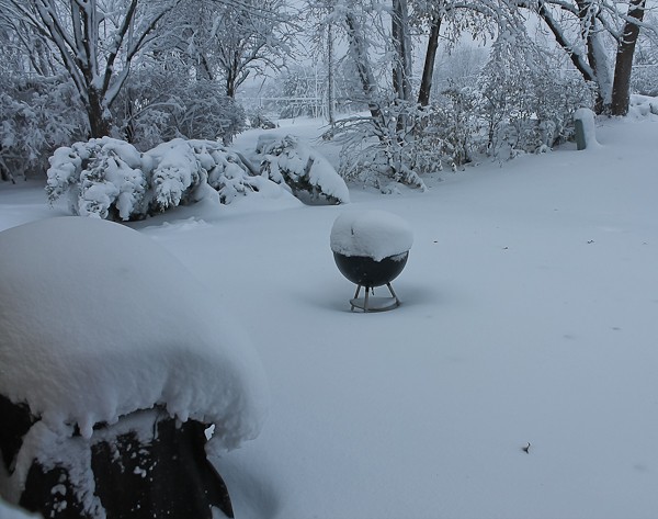 Snow on grills