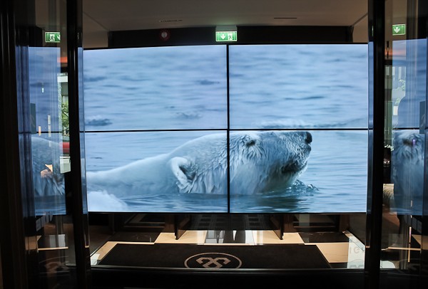 Arctic Lights polar bear screen