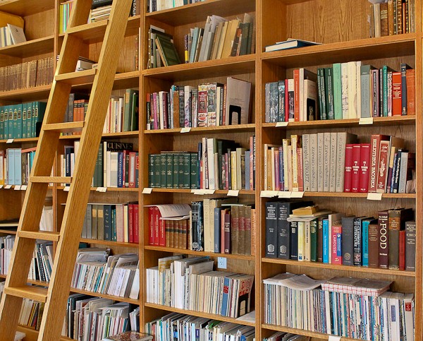 Ben book shelves with ladder