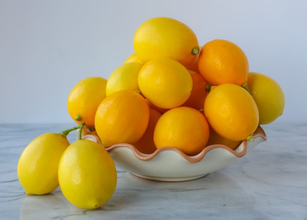 Meyer Lemons 1