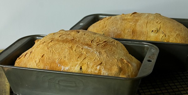 Pumpkin yeast bread in bread pans