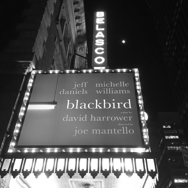 Blackbird