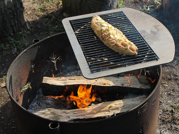 Pit cooking fish 2