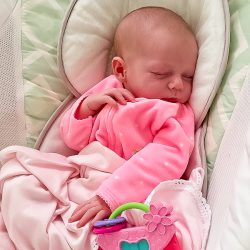 Virginia Rose Vivi in pink with purse