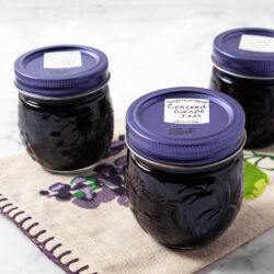 Concord Grape Jam 2