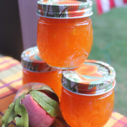 Peach-Apricot+Jam+trio+on+porch+with+flag